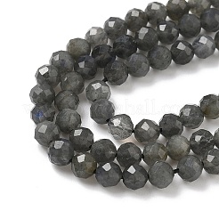 Natural Labradorite Beads Strands&nbsp;G-L622-C03-4mm