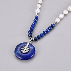 Natural Labradorite Pendant Necklace&nbsp;NJEW-E145-B10