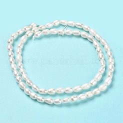Natural Cultured Freshwater Pearl Beads Strands&nbsp;PEAR-E016-143