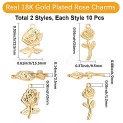 20Pcs 2 Styles 304 Stainless Steel Pendants&nbsp;STAS-BBC0008-63