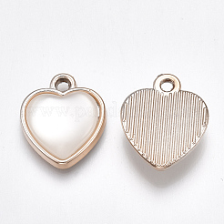 UV Plating Acrylic Pendants&nbsp;X-OACR-T005-65KC