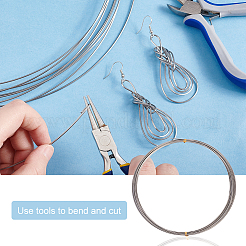 316 Surgical Stainless Steel Wire&nbsp;TWIR-WH0008-01A-P