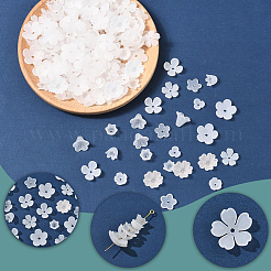 600Pcs 10 Styles Acrylic Bead Caps&nbsp;OACR-SC0002-37