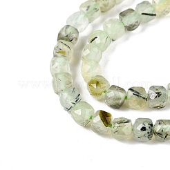 Natural Prehnite Beads Strands&nbsp;G-N342-124
