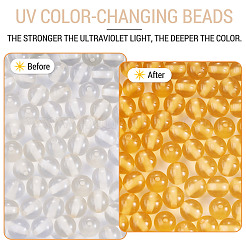 Resin Beads&nbsp;RESI-TAC0026-19F