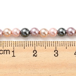 Electroplated Shell Pearl Beads Strands&nbsp;SHEL-F008-03A-12