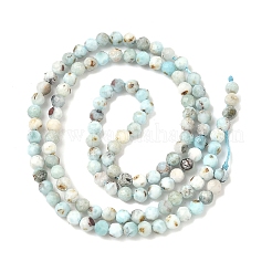 Natural Larimar Beads Strands&nbsp;G-F785-B01-01A