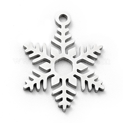 Non-Tarnish 201 Stainless Steel Pendants&nbsp;STAS-E157-04P
