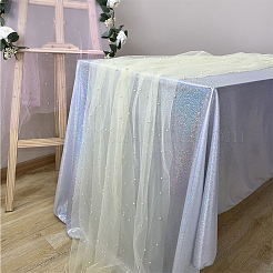 Nylon Mesh Fabric&nbsp;DIY-WH20010-12A