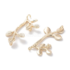 Brass Connector Charms&nbsp;KK-C077-06G