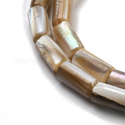 Natural Freshwater Shell Beads Strands&nbsp;BSHE-G038-02