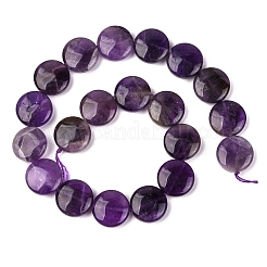 Natural Amethyst Flat Round Bead Strands&nbsp;G-L246-23