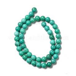 Dyed & Heated Natural Magnesite Beads Strands&nbsp;G-G924-01A-01