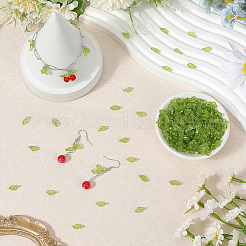 500Pcs Transparent Acrylic Charms&nbsp;TACR-SP0001-36B