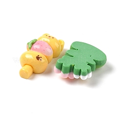 Spring Theme Opaque Resin Decoden Cabochons&nbsp;RESI-S396-07