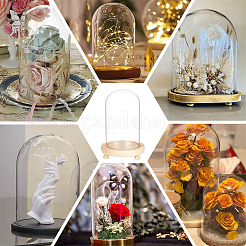 Glass Dome Cover&nbsp;AJEW-WH0312-39