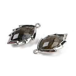 Natural Labradorite Faceted Leaf Pendants&nbsp;G-I375-04P-08