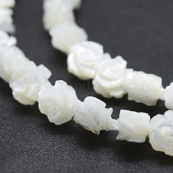 Natural White Shell Beads Strands&nbsp;SSHEL-P015-01A-10mm