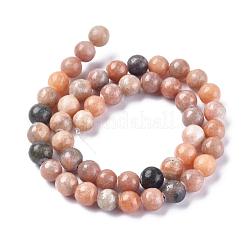 Natural Zebra Jasper Beads Strands&nbsp;G-F676-01