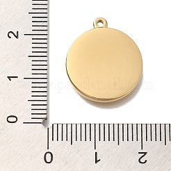 Ion Plating(IP) 304 Stainless Steel Pendants&nbsp;STAS-P371-041G