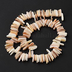 Natural Shell Beads Strands&nbsp;SHEL-D002-01A