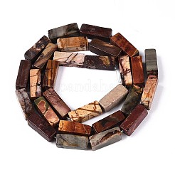 Natural Picasso Jasper/Polychrome Jasper Beads Strands&nbsp;G-T141-104