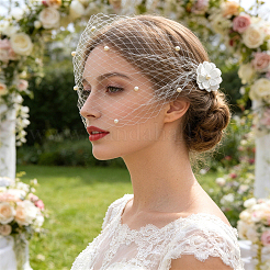 Nylon Fascinator Mesh Face Veil&nbsp;AJEW-WH0596-976