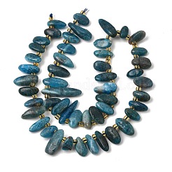 Natural Apatite Beads Strands&nbsp;GG-CBADF20-A08
