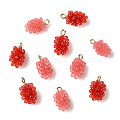 12Pcs 2 Colors Resin Pendants&nbsp;RESI-CJ0004-71