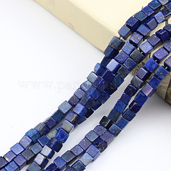 2 Strands Natural Lapis Lazuli Beads Strands&nbsp;G-PA0001-78