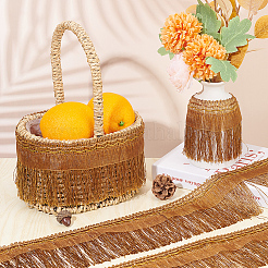 Polyester Fringe Ribbon&nbsp;OCOR-WH0078-34