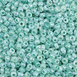 Glass Seed Beads&nbsp;SEED-XCP0001-48