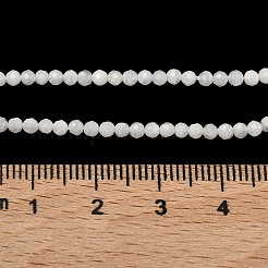 Natural Rainbow Moonstone Beads Strands&nbsp;G-B168-A11-2mm