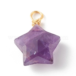 Natural Mixed Gemstone Charms&nbsp;PALLOY-JF00748