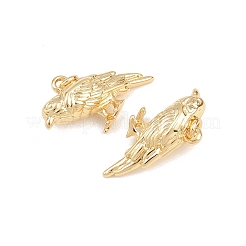 Brass Pendants&nbsp;KK-B157-26G