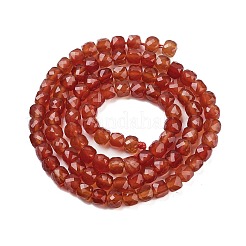 Natural Red Agate Beads Strands&nbsp;G-H042-A49-02