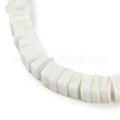 Handmade Lampwork Beads Strands&nbsp;LAMP-Q037-02B-19