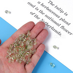 Transparent Acrylic Beads&nbsp;MACR-S373-134-T03