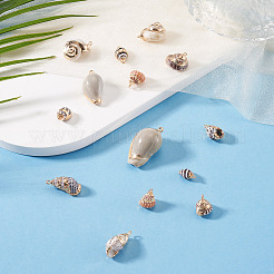 14Pcs 7 Styles Electroplated Natural Mixed Shell Pendants&nbsp;BSHE-TA0001-34A