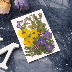 Pressed Dried Flowers&nbsp;DIY-YWC0001-97
