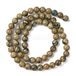 Natural Green Dragon Veins Beads Strands&nbsp;G-D098-A01-6mm