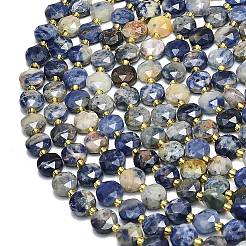 Natural Sodalite Beads Strands&nbsp;G-C116-A80-02