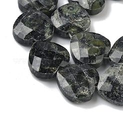 Natural Kambaba Jasper Beads Strands&nbsp;G-A309-A01-01