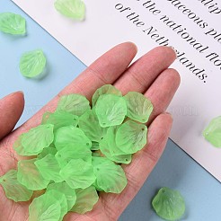 Transparent Frosted Acrylic Pendants&nbsp;MACR-S371-01A-733