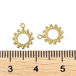 304 Stainless Steel Charms&nbsp;STAS-H185-05G
