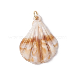 30Pcs 10 Styles Acrylic Pendants&nbsp;PALLOY-JF03989-02