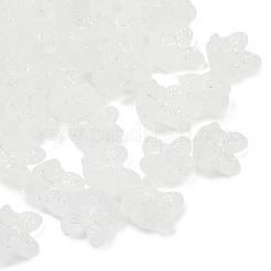 Frosted Transparent Acrylic Beads&nbsp;X1-OACR-P029-18B-05