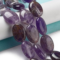 Natural Amethyst Beads Strands&nbsp;G-P528-M16-01
