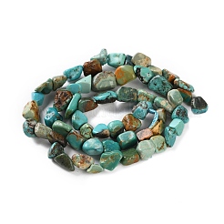 Natural Hubei Turquoise Beads Strands&nbsp;G-P497-01C-51