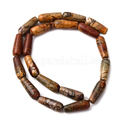 Natural Picasso Stone/Picasso Jasper Beads Strands&nbsp;G-D0017-05